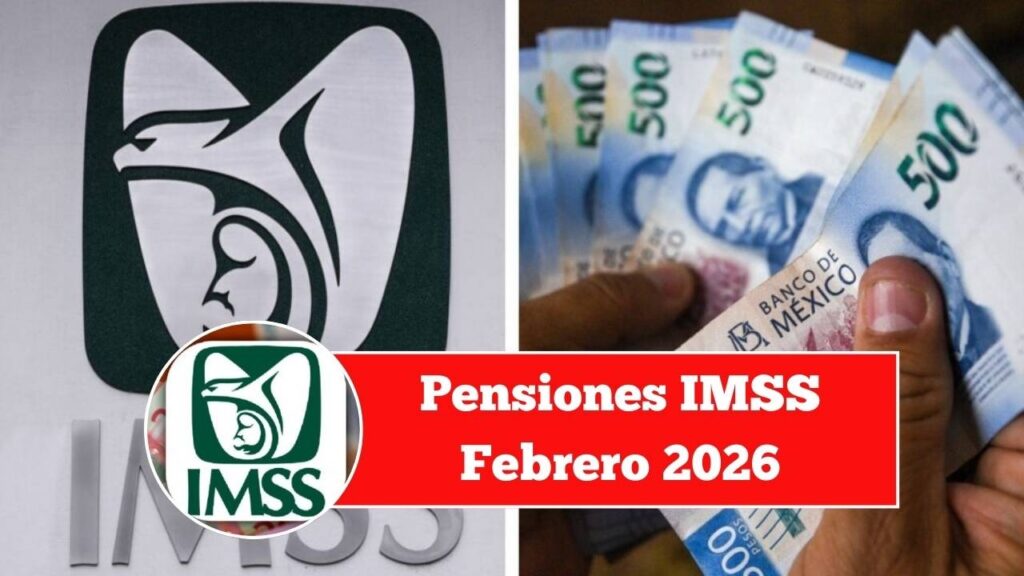 Pensiones IMSS Febrero 2026: Cambios para Ley 73 y Ley 97